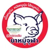 Fernleppyshop - @fernlep - TikTok