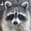 🐾 fern 🐾 - @fern.leash - TikTok