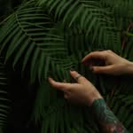 FernMoth Lights ✨️ - @fernmoth_lights - Instagram