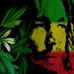 Ferny Light - Facebook