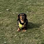 Fern - @fernlongboy - Instagram
