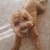 user2015412692072 - @fern.lynn.11 - TikTok