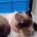 Fern Maher - Facebook