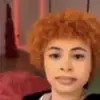 avery - @ferntmalone - TikTok