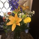 Fern Mason - @fnm757 - Instagram