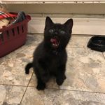 Fern Murphy Warne - @fernmurphywarne - Instagram