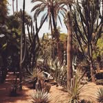 Fern Olson - @fernolson31 - Instagram