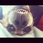 @fernolsonte - Instagram
