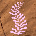 Gabriella Auth - @fern_pottery - Instagram