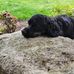 Fern Proctor - Facebook