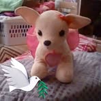 Fern Pugh - Facebook