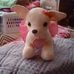 Fern Pugh - Facebook