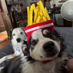 Fern And Reese - @fern_n_reese - Instagram