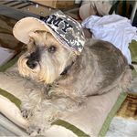 Fern Reeves Childers - @chillys1 - Instagram