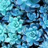 fernrivera - @fern.rivera.71 - TikTok