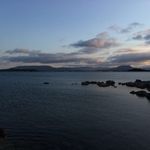 Fern Roach - @fernroach12 - Instagram