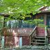 Fern Rock - Facebook