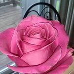 Fern Rosenberg - @fern.rosenberg.771 - Instagram
