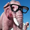 fernmaryschultz - @fernmaryschultz - TikTok