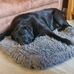 Fern Shaw - Facebook