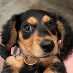 Fern - @fernshortlegs - Instagram