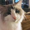 fernsilverman - @fernsilverman - TikTok