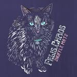 Fern Singer - @felis.chaos - Instagram