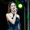 fern_singer.dhy - @fern_singer.dhy - TikTok