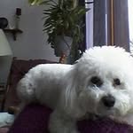 Fern Stevenson Davis - @fernstevensondavis - Instagram