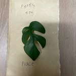 Fern summers - @ferns.art.place - Instagram