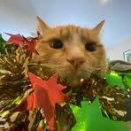 Fern Sutton - Facebook