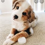 Fern thomas - @fernthomas35 - Instagram