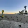 Fern Thomas - @itsfernthomas - TikTok