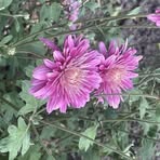 Fern Turner - Facebook