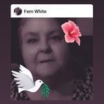 Fern White - @fern_white.68 - Instagram