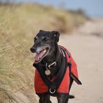 Fern - @fernwhitehurst3 - Instagram