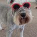 Fern Williams - Facebook