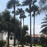 Fern Williams - @fernwilliams01 - Instagram
