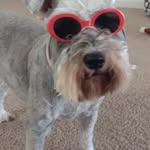 Fern Williams - @fern.williams3 - Instagram
