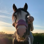 Fern Williams (eq acc) - @fwilliams.eq - Instagram