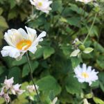 Fern Wright | finding myself - @livelife_wright - Instagram
