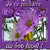 Simon Fernand - @simon.fernand - TikTok