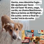 Fernanda Barros - @nandatur30 - Instagram