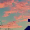 fernandazbell - @fernandazbell - TikTok