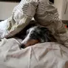 Fernanda Borba - @fernanda.borba - TikTok