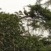 Fernanda Borba - Facebook
