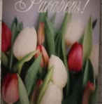 Fernanda Branco - Facebook