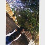 fernanda Buenrostro - @buenrostro3498 - Instagram