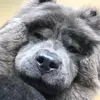 fernandacalvo952 - @fernandacalvo952 - TikTok