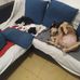 Fernanda Cerri - Facebook